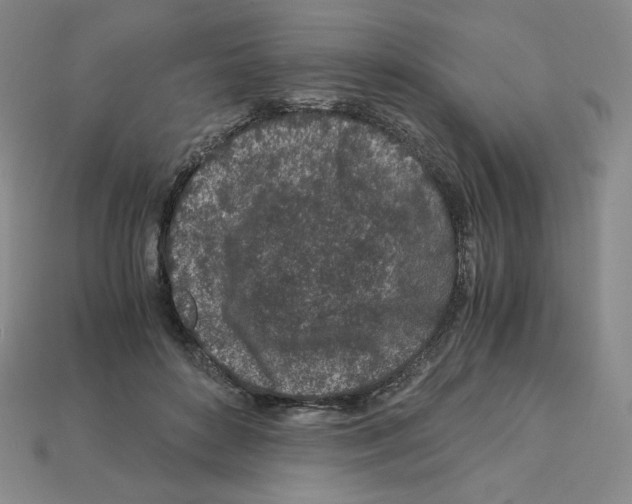 X0000112900504200910021437