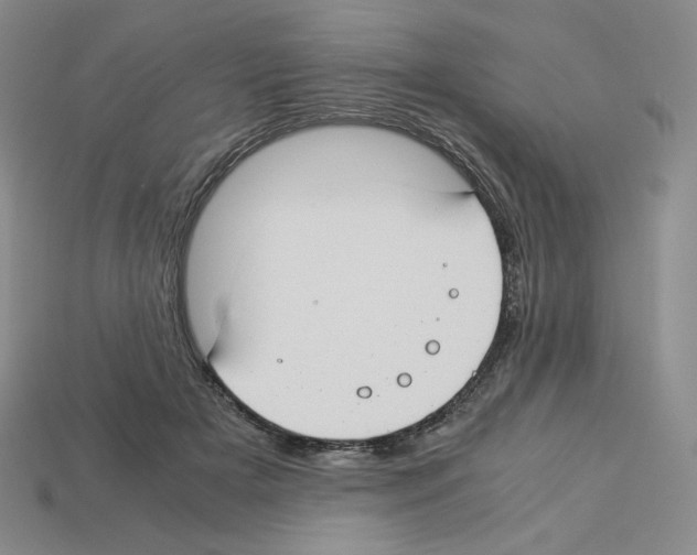 X0000112900505200910021437
