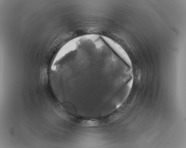 X0000112900506200910021437