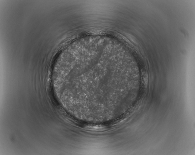 X0000112900507200910021437