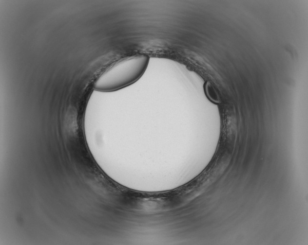 X0000112900508200910021437