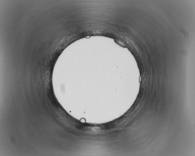 X0000112900509200910021437