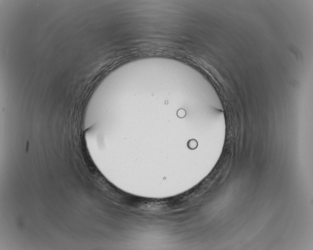 X0000112900513200910021437