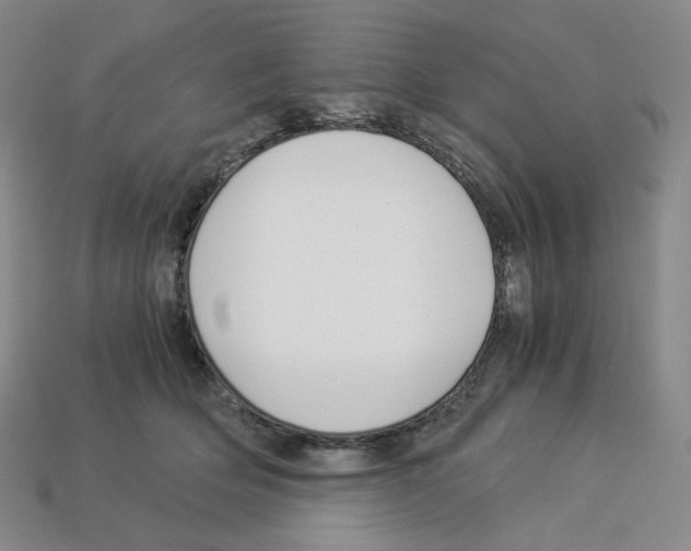 X0000112900514200910021437