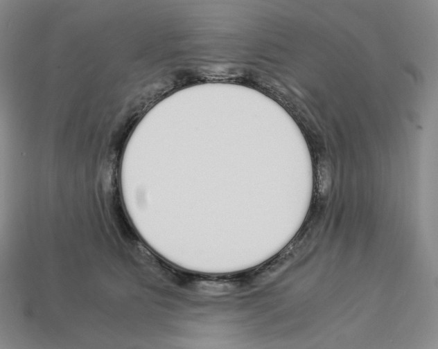 X0000112900515200910021437