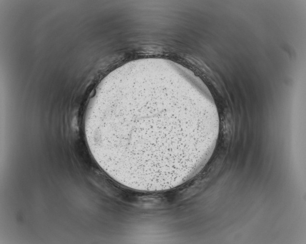 X0000112900516200910021437