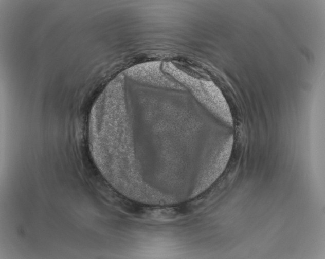 X0000112900517200910021437