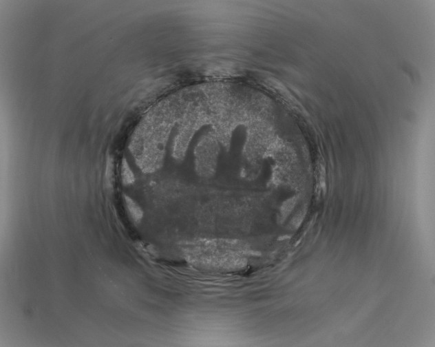 X0000112900519200910021437