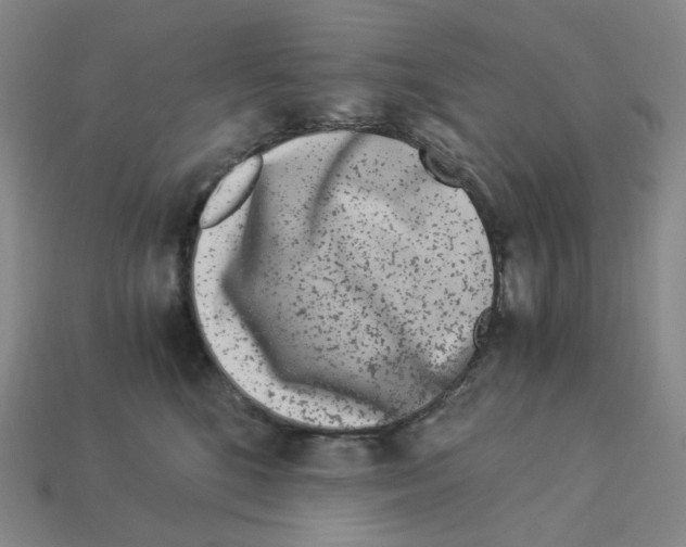 X0000112900520200910021437