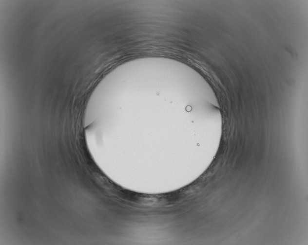 X0000112900521200910021437