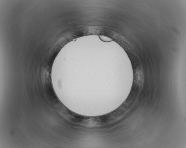 X0000112900522200910021437