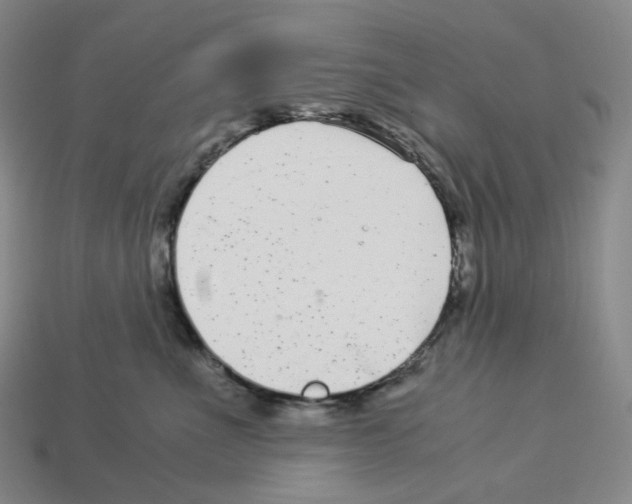 X0000112900523200910021437