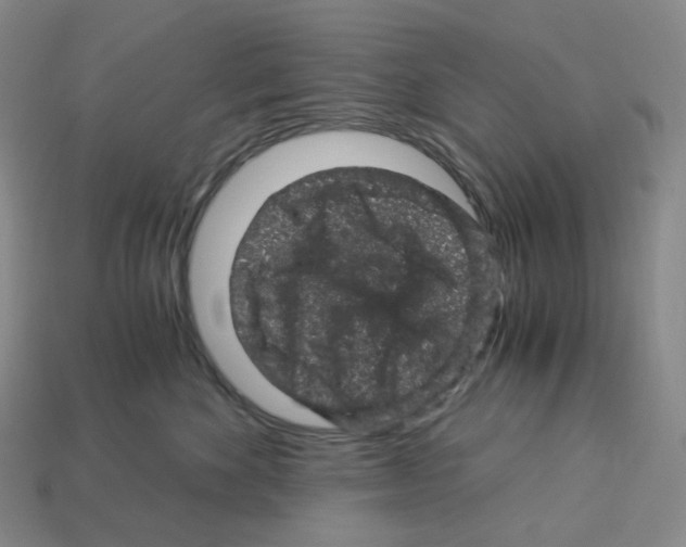 X0000112900524200910021437