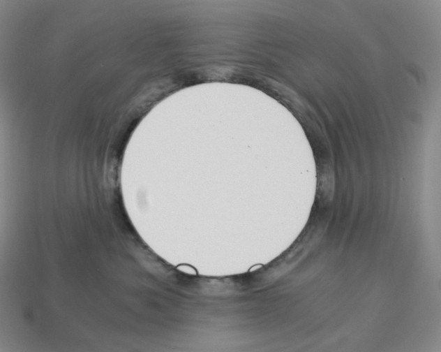 X0000112900525200910021437