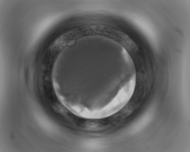 X0000112900526200910021437