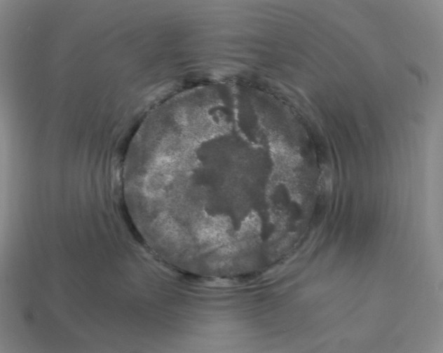 X0000112900527200910021437