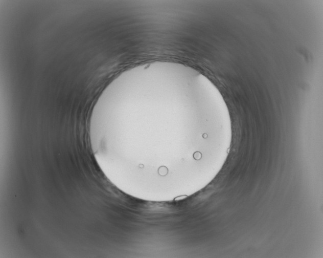 X0000112900528200910021437