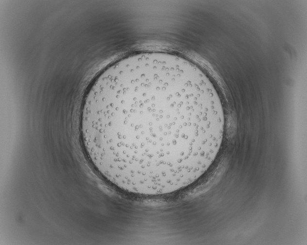 X0000112900529200910021436