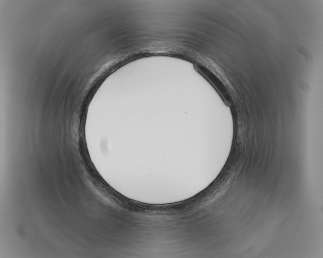 X0000112900530200910021436
