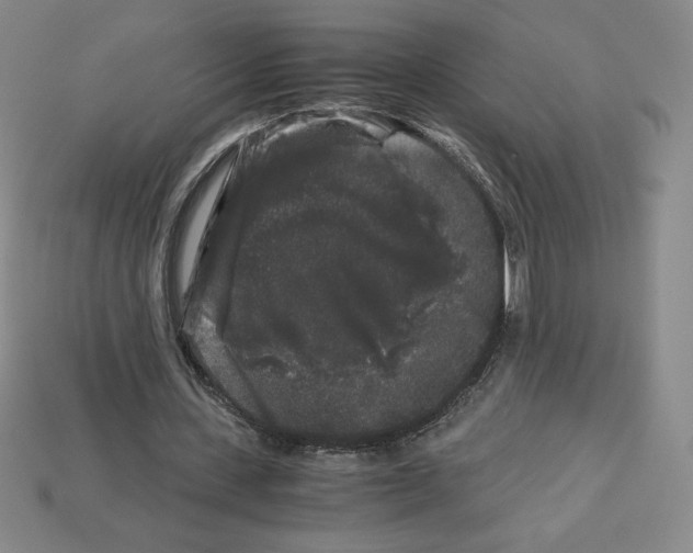 X0000112900531200910021436