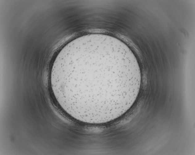 X0000112900533200910021436