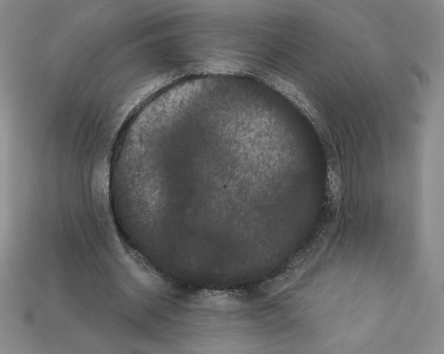 X0000112900534200910021436