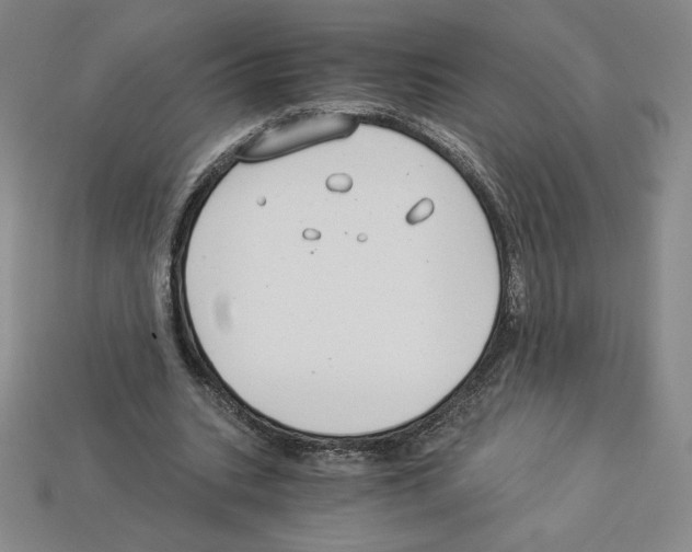 X0000112900535200910021436