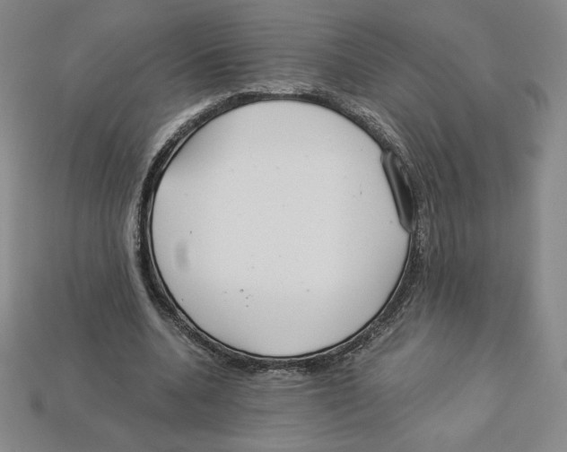 X0000112900536200910021436