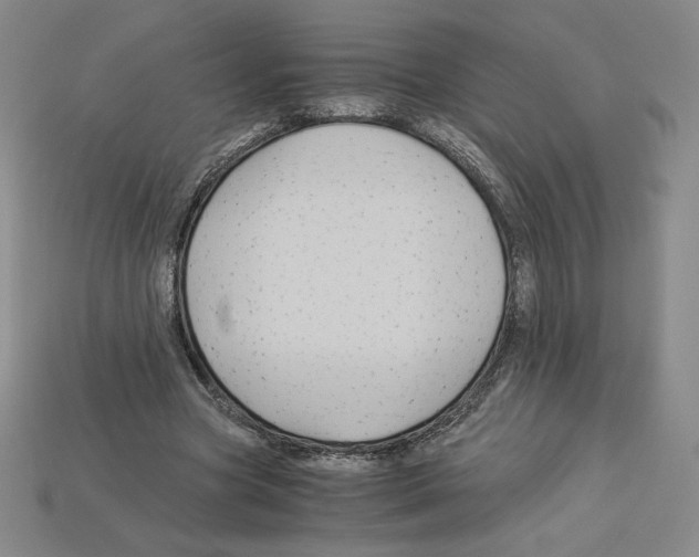 X0000112900537200910021436