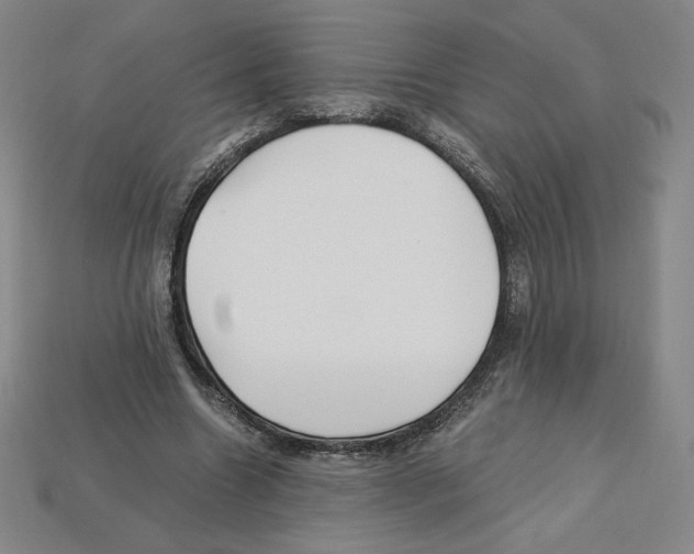 X0000112900538200910021437