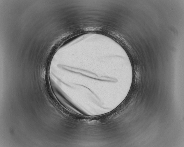 X0000112900539200910021437