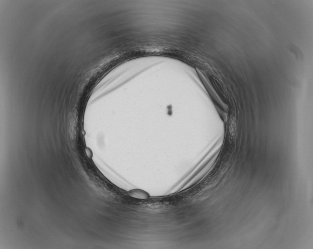 X0000112900540200910021437