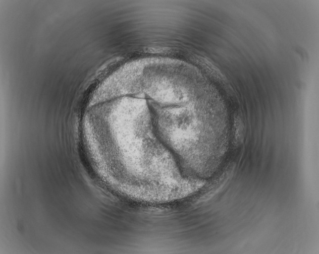 X0000112900542200910021437