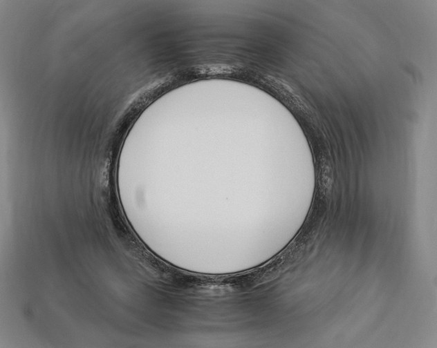 X0000112900543200910021437
