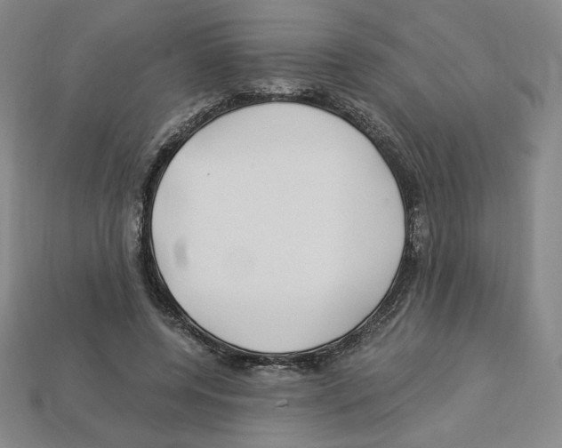 X0000112900544200910021437