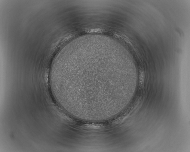 X0000112900545200910021437