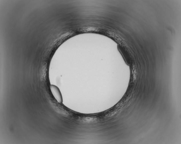 X0000112900546200910021437