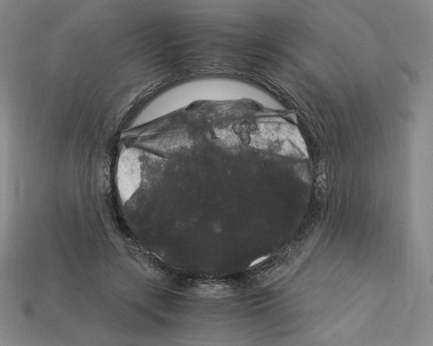 X0000112900547200910021437