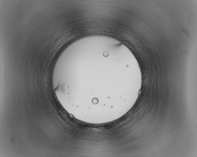 X0000112900548200910021437