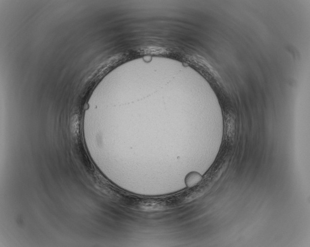 X0000112900549200910021437
