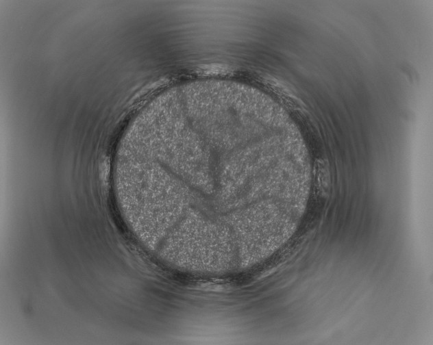 X0000112900550200910021437