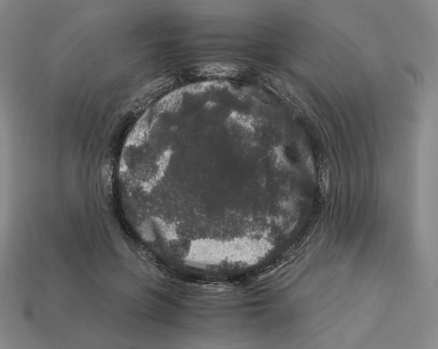 X0000112900551200910021437