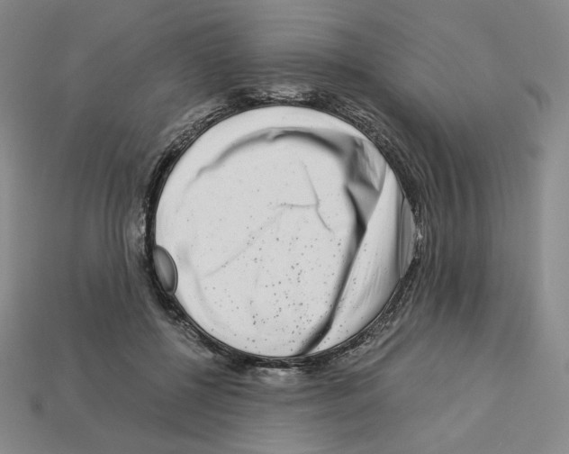 X0000112900552200910021437
