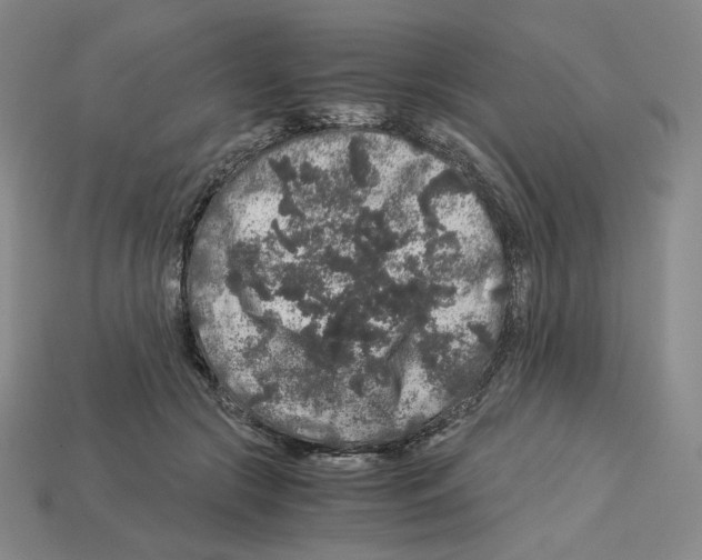 X0000112900553200910021437