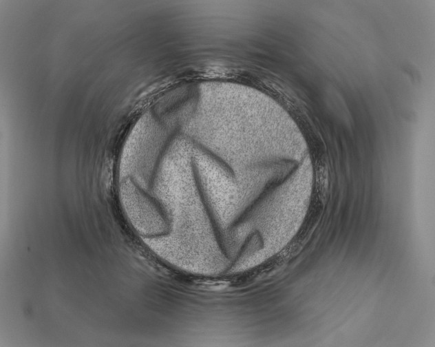 X0000112900554200910021437