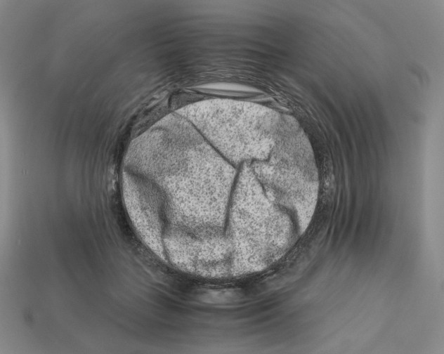 X0000112900555200910021437