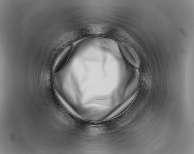 X0000112900556200910021437