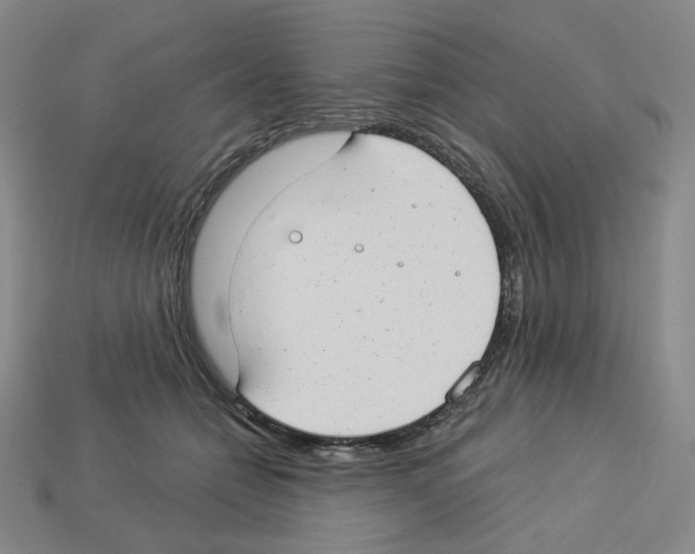 X0000112900558200910021437