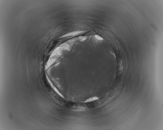 X0000112900559200910021437