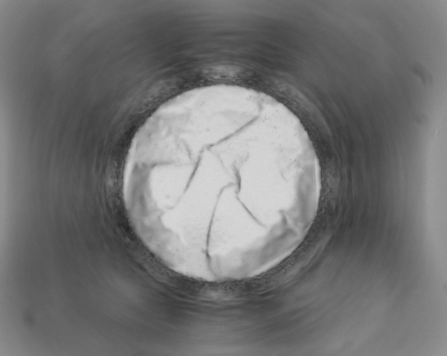 X0000112900561200910021437